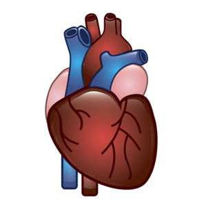 Articles du zymogramme du myocarde