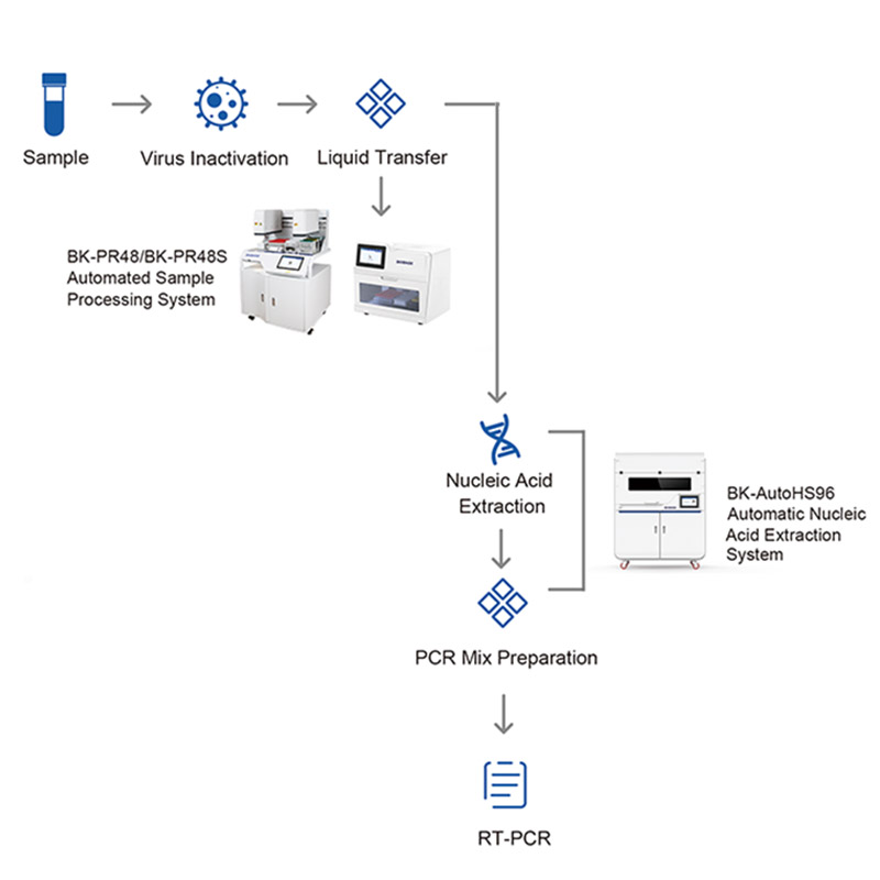 Système automatisé de traitement des échantillons