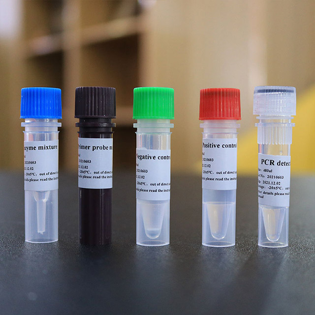 Kit de détection des acides nucléiques du nouveau coronavirus (2019-nCoV) (PCR par fluorescence)