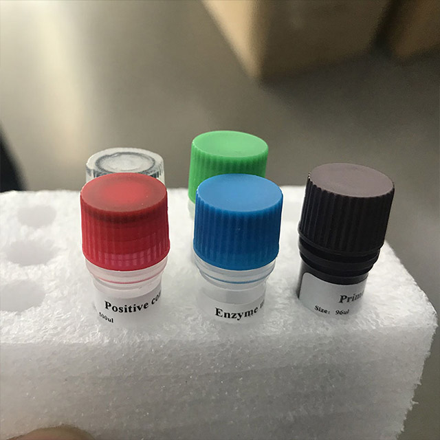 Kit de détection des acides nucléiques du nouveau coronavirus (2019-nCoV) (PCR par fluorescence)