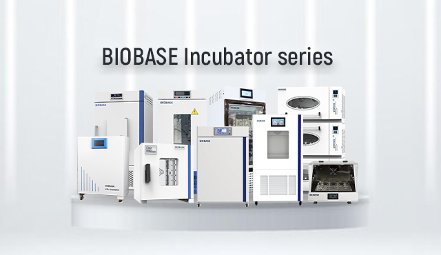 Choisissez un incubateur de laboratoire professionnel, recherchez BIOBASE !