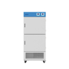 Incubateur multi-chambres à température constante BJPX-H150-2C BJPX-H100-4C